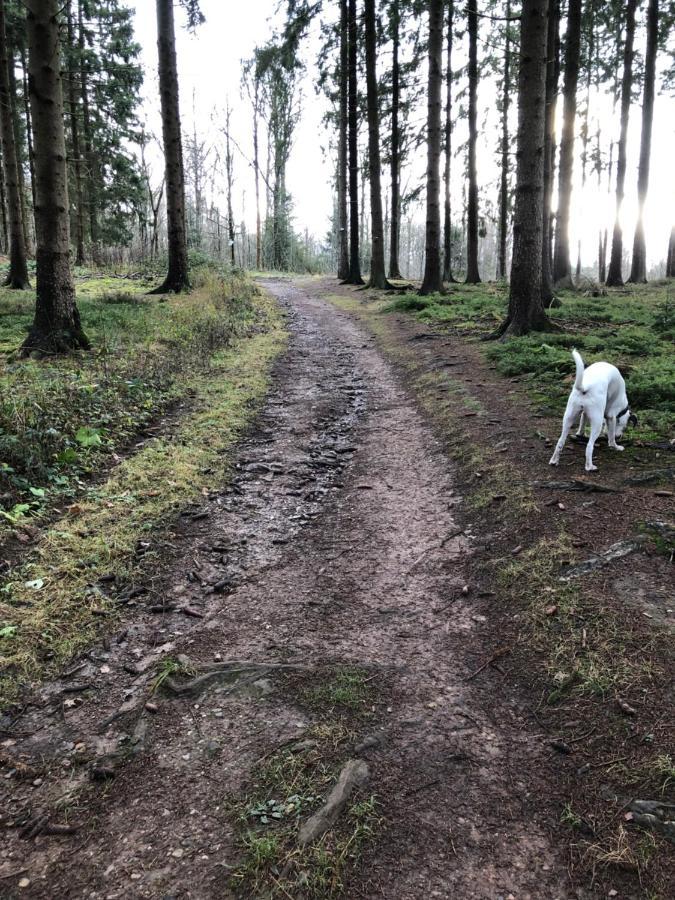 Willa Chalet Frodo En Belle Durbuy Zewnętrze zdjęcie